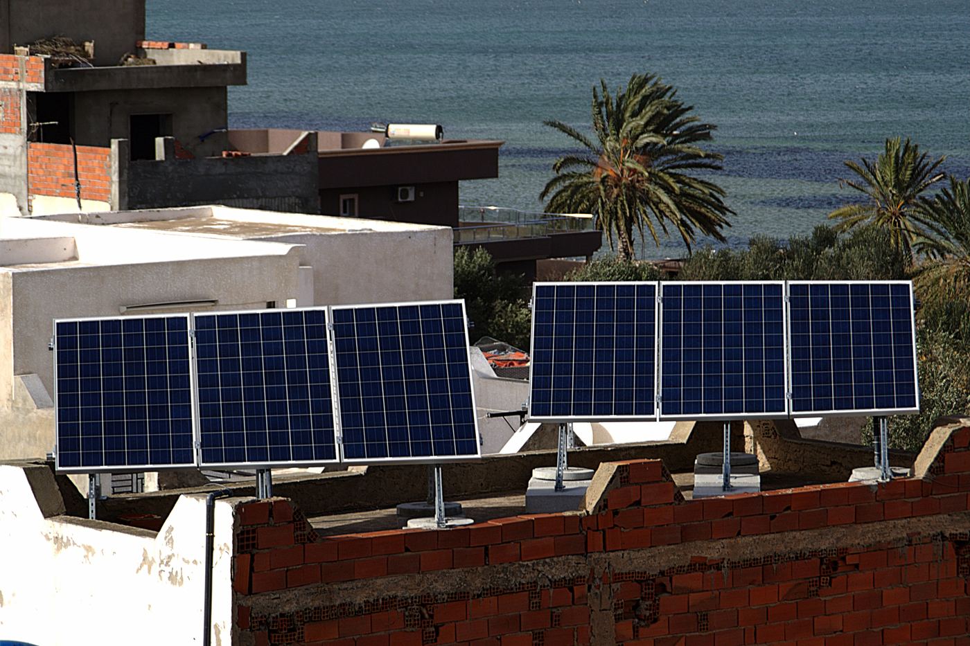 Six panneaux solaires sur châssis inclinés, sur un toit-terrasse tunisien, avec des palmiers et la mer derrière.